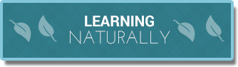 Learning Naturally